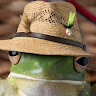 froggyyy56